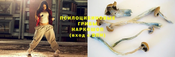 стафф Абинск